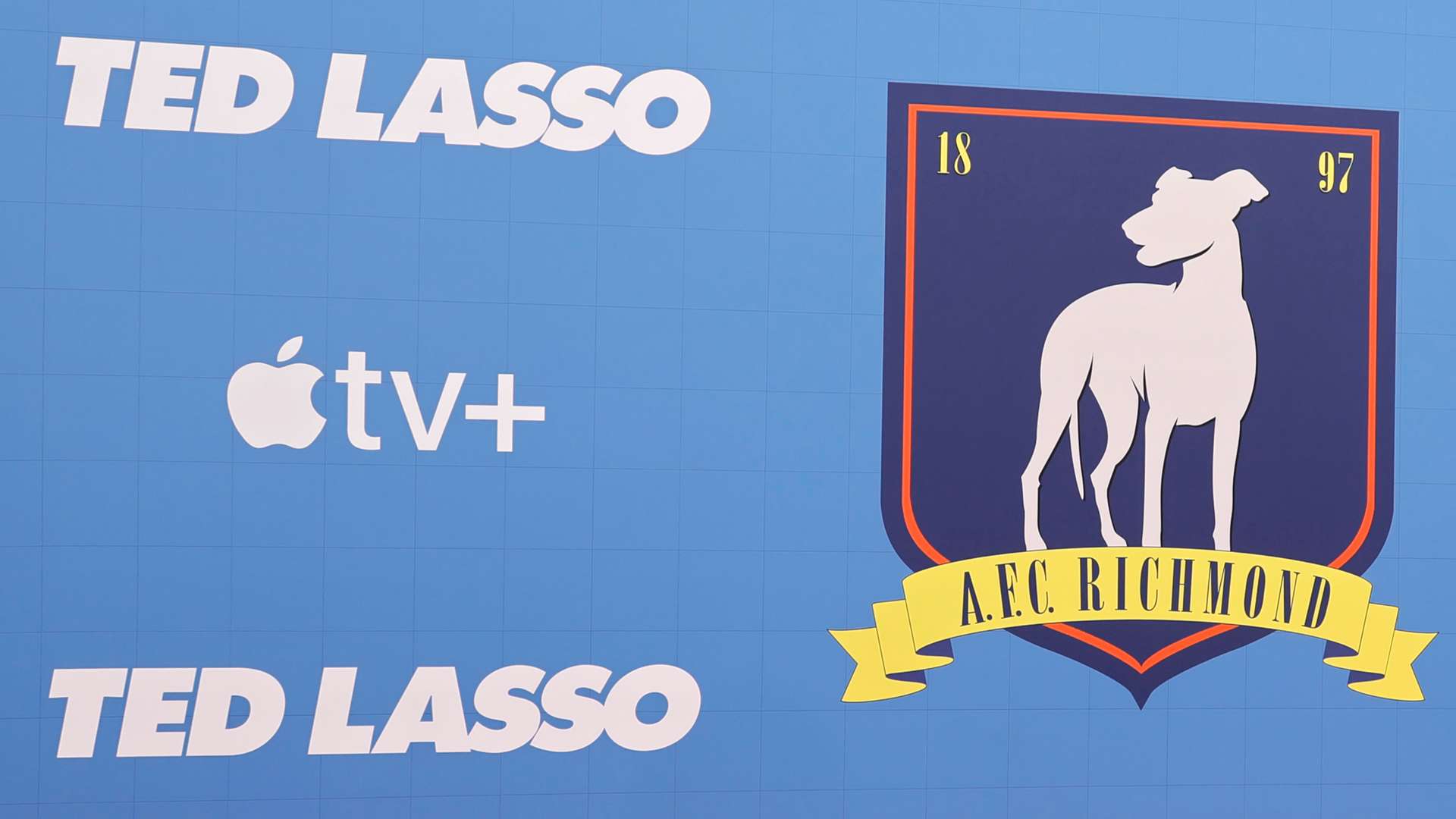 使得教练可 使得教练可