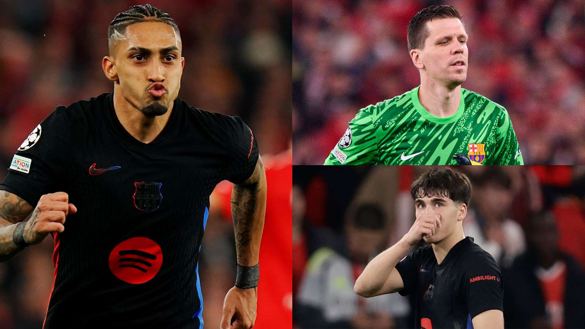 提供重要的 提供重要的