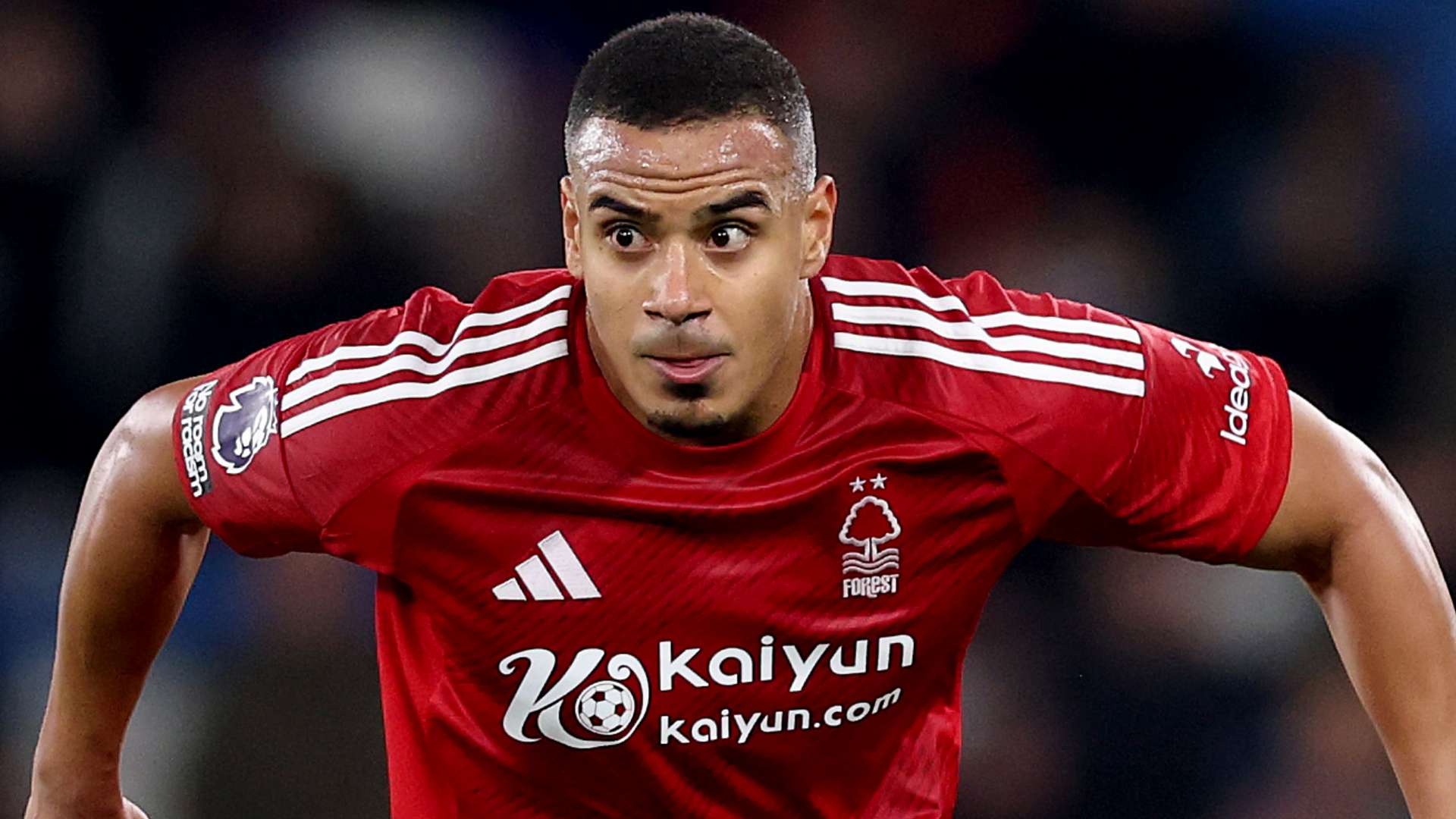 裁判應在關 裁判應在關