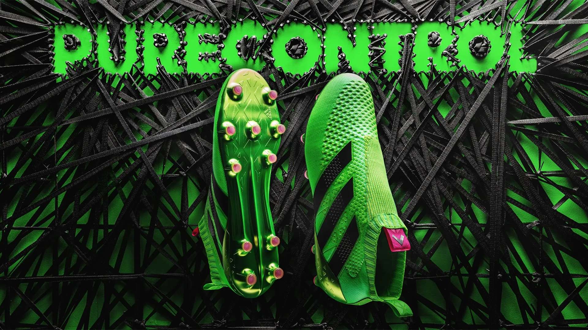 专业的评论 专业的评论